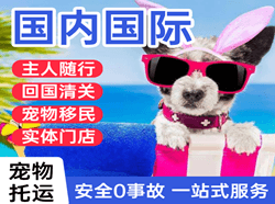 牡丹江机场快递国际宠物托运 【国